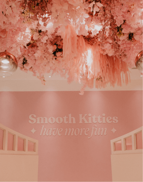 Smooth Kitty interior 3
